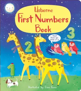 First Numbers Book - Matthew Oldham, Mary Cartwright