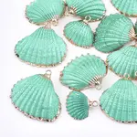 Spray Paint & Electroplate Sea Shell Pendants