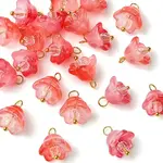 20Pcs Glass & Acrylic Flower Pendants