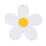 Acrylic Big Pendants