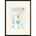 Dřevěný rám černý Avon – 50x70cm