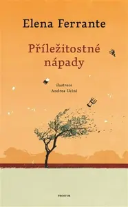 Příležitostné nápady - Elena Ferrante, Andrea Ucini