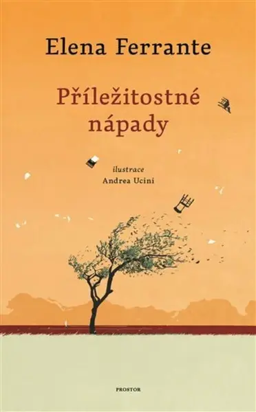 Příležitostné nápady - Elena Ferrante, Andrea Ucini