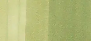 Copic sketch marker - G21 lime green