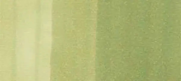 Copic sketch marker - G21 lime green