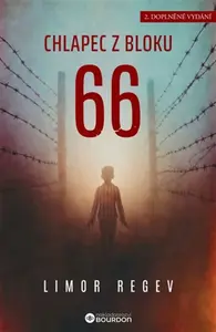 Chlapec z bloku 66 - Limor Regev