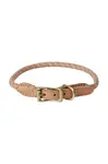 OYOY Obojky pre psov OYOY Perry Dog Collar XL