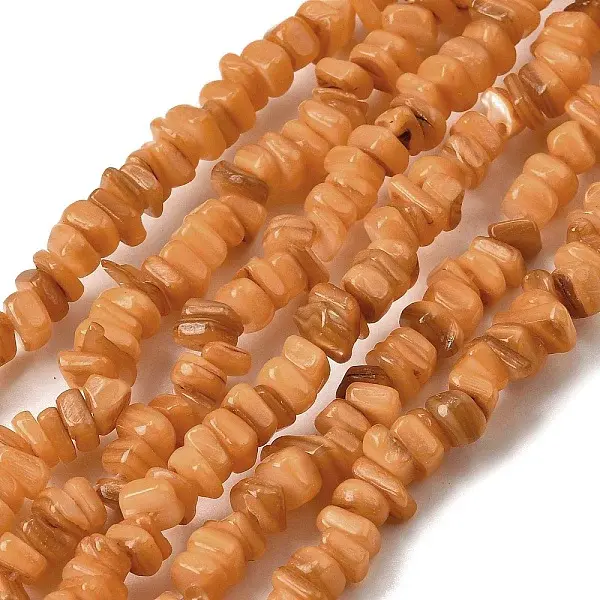 Natural Freshwater Shell Beads