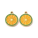 Fruit Seris 304 Stainless Steel Enamel Charms