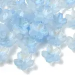 30Pcs Electroplate Transparent Glass Beads