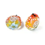 3D Lampwork & Brass Core European Beads