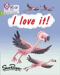 I love it! - Rayner Shoo