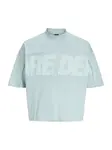 JACK & JONES Tričko 'JCOBIARRITZ'  mätová