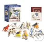 Extremely Accurate Birds Wooden Magnet Set (10 Anatomically Precise Magnets) - Tommy Siegel
