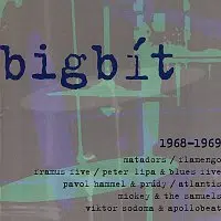 Různí interpreti – Bigbít / 1968 - 1969