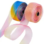 2 Skeins 2 Colors Rainbow Color Polyester Organza Ribbon