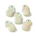 Natural Rainbow Alashan Agate Pendants