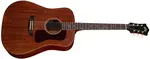 Guild D-20E NAT