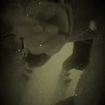 Život – Z těch chvil zářících