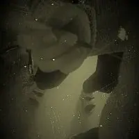 Život – Z těch chvil zářících