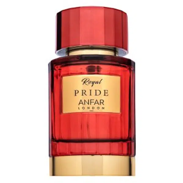 Anfar Royal Pride čistý parfém pro muže 100 ml