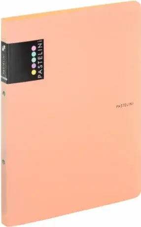 Pořadač PP A4 2kr. PASTELINI meruňková