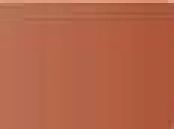 Pastel Caran d'Ache Neocolor I 065 Russet