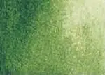 Akvarelová barva DS 5ml – 102 Sap Green