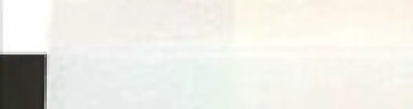 Akryl Golden Open 59ml – 7486 Iridescent Pearl (Fine)