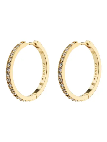 Pilgrim Náušnice 'Ebna'  zlatá / priehľadná