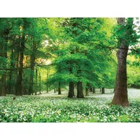 Euroart OBRAZ NA SKLE, stromy, 30/40 cm