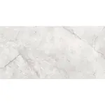 Nástěnný Obklad Arcos Light Grey Glossy 29.8/59.8