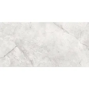 Nástěnný Obklad Arcos Light Grey Glossy 29.8/59.8