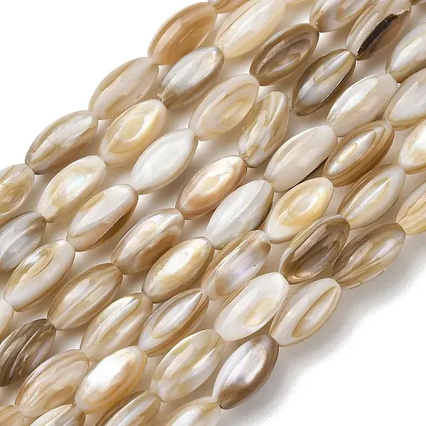 Natural Freshwater Shell Beads Strands