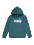 PUMA Mikina 'ESS No.1'  smaragdová / svetlozelená / biela