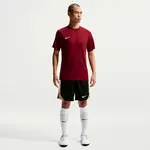 Nike DRI-FIT PARK VIII JERSEY SS M Pánské sportovní tričko, vínová, velikost XXL