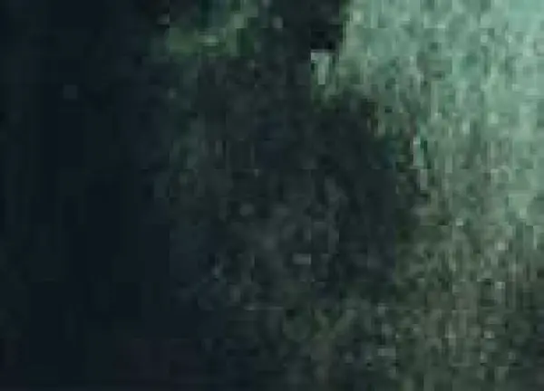 Akvarelová barva DS 5ml – 194 Perylene Green