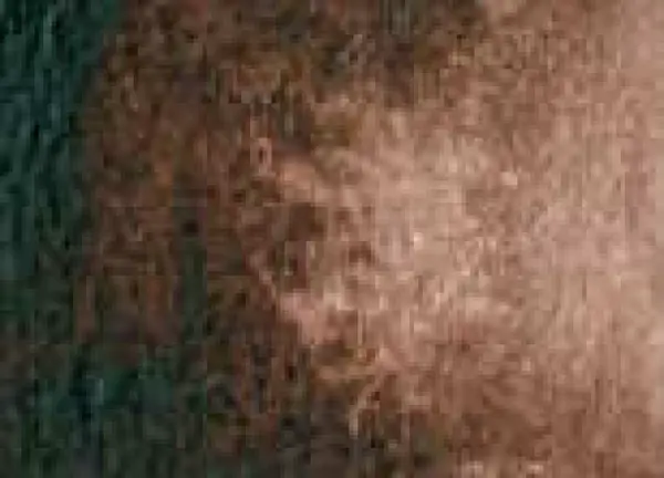 Akvarelová barva DS 5ml – 011 Burnt Umber