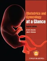 Obstetrics and Gynecology at a Glance - Errol R.  Norwitz, John O.  Schorge