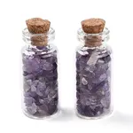 Glass Wishing Bottle Display Decorations