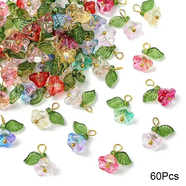 Glass & Acrylic Charms