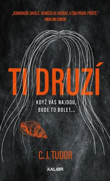 Ti druzí - C. J. Tudorová