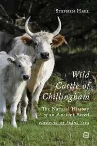 Wild Cattle of Chillingham - Stephen Hall