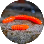 Redbass gumová nástraha trout grub signal orange uv color - 3x16 mm