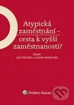 Atypická zaměstnání - cesta k vyšší zaměstnanosti? - kniha z kategorie Sociologie