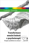 Transformace emoční bolesti v psychoterapii (Terapie zaměřená na emoce) - kniha z kategorie Psychologie
