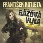 Rázová vlna
