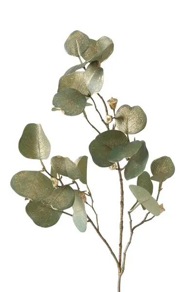 Umělá větvička Boltze Eucalyptus 82 cm