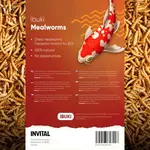 Ibuki Hmyz 1000 ml - sušené moučné červy