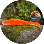 Redbass gumová nástraha ripper kicker orange g uv - l 100 m